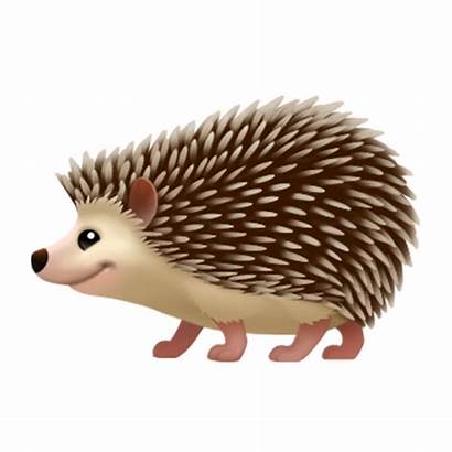 Hedgehog Emoji Porcupine Sonic Monotreme Iphone Freepngimg