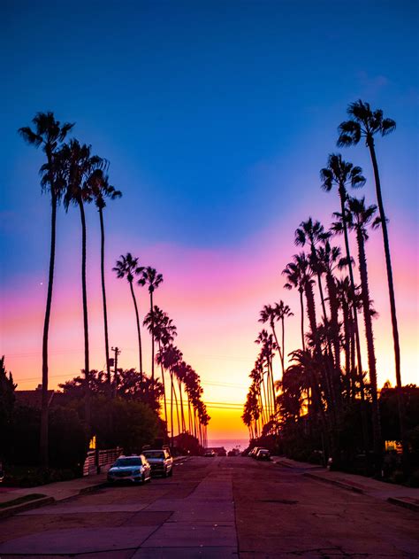 Took This Just After Sunset In San Diego I Love Palm Trees Rpics