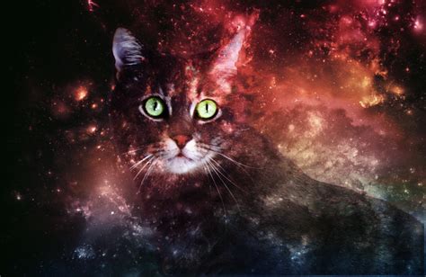 Galaxy Cat Background By Rin R0 On Deviantart