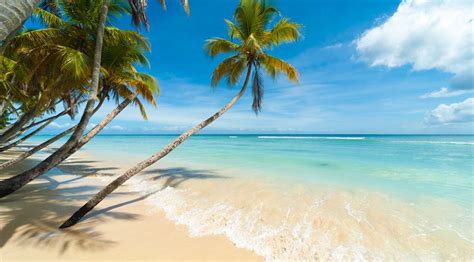 Go Beyond Discover 101 Things To Do In Beautiful Tobago Visit Tobago