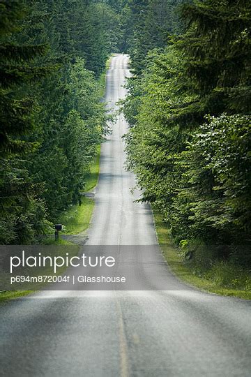 Tree Lined Country Road Stock Image Everypixel