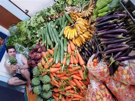 Sander hofman, wild animal park basel zoo. A Syrian vlogger distributed vegetable relief goods to ...