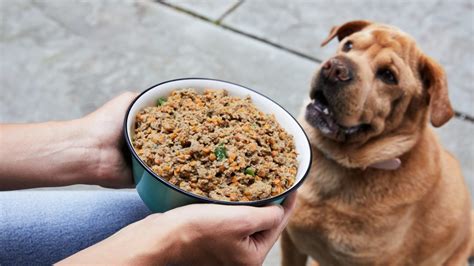 Easy Dog Food Recipe With Chicken Petplate