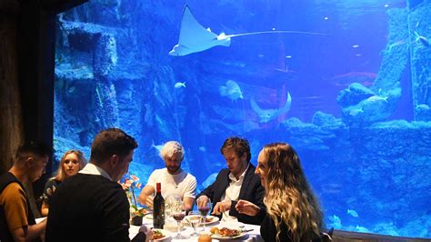 Sea Lifes Dining Under The Sea Melbourne