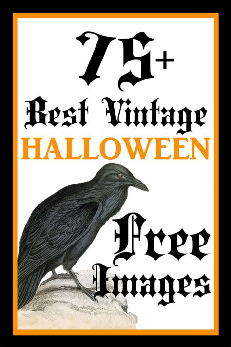 75 Best Free Vintage Halloween Images The Graphics Fairy