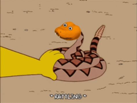 Freaky Snakes Gif Freaky Snakes Discover Share Gifs