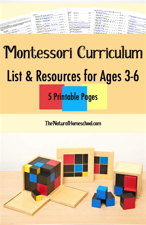 In This Post We Share A Free Montessori Curriculum List Of The Top 10
