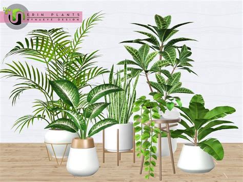 Sims 4 Cc Wandymoon Plant Wallpaper Page Of 1 Images Free Download