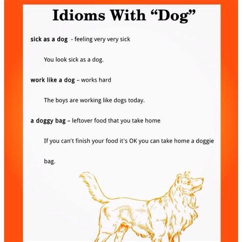 Dog Idioms Idioms Dog Words English Idioms