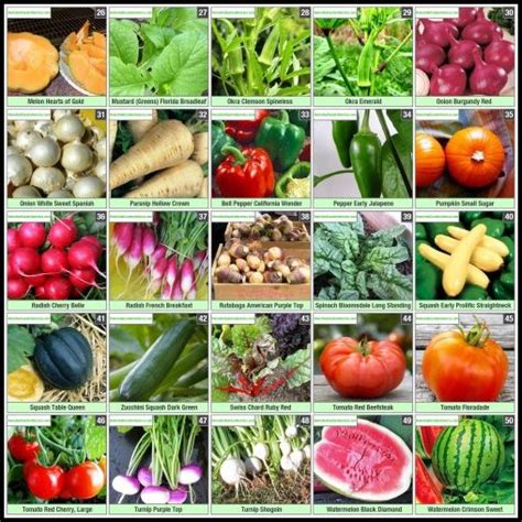 Hybrid Fruits And Vegetables List The Garden