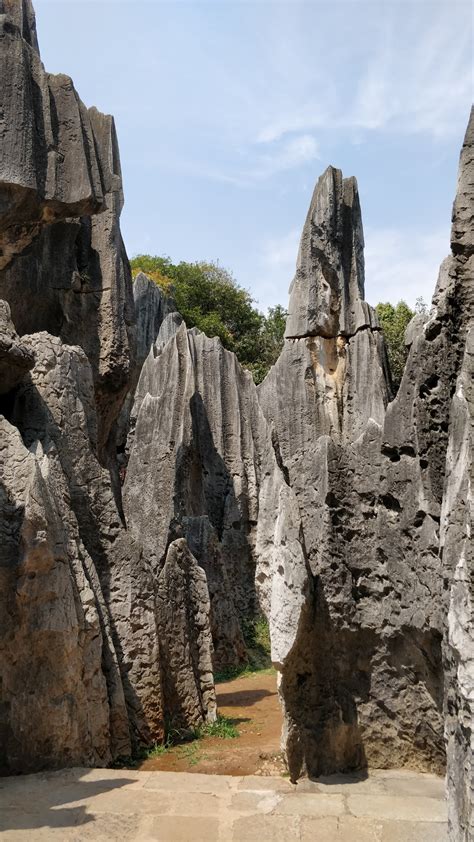 Shilin Stone Forest Yunnan China Visions Of Travel