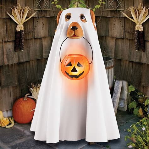 Cute Ghost Dog In Halloween Costume Featuring Led Lighted Trick Or