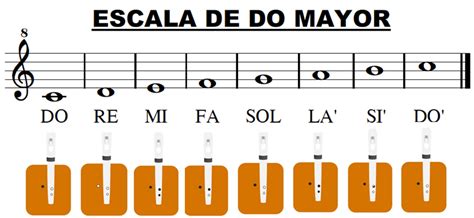 Escala De Do Mayor Ficha Interactiva Notas Musicales Actividades