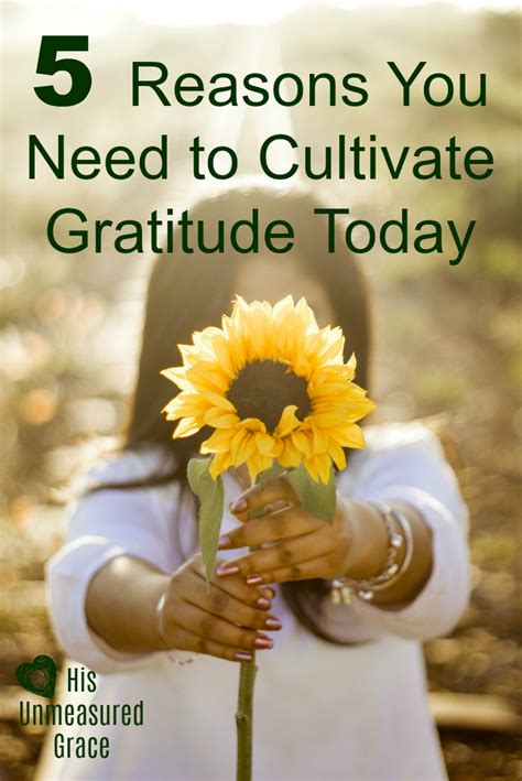 5 Reasons To Cultivate Gratitude Today
