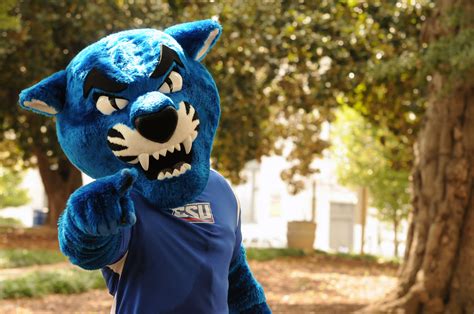 Pounce Georgia State Universitys Mascot Photo Taken By Signal