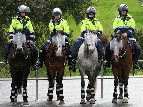 Fileaustralian Mounted Police Victoria Edit1 Wikipedia