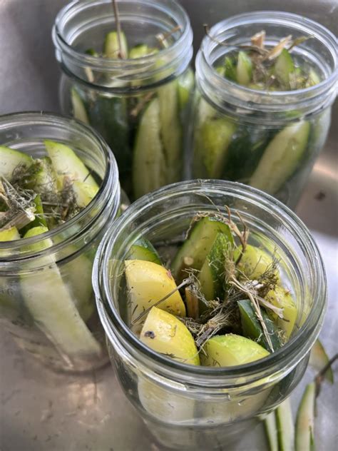 The Ultimate Easy Dill Pickle Recipe Caution Addictive The Far