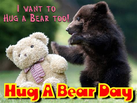 I Want To Hug A Bear Too Free Hug A Bear Day Ecards Greeting Cards
