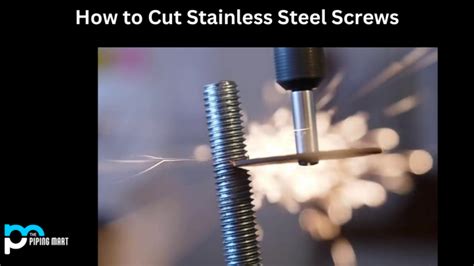 How To Cut Stainless Steel Screws A Step By Step Guide