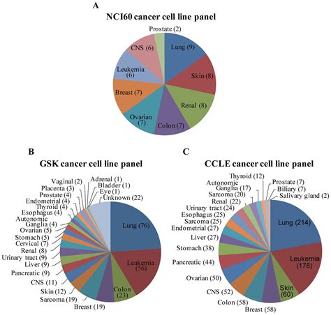 Cell Line Modeling For Systems Medicine In Cancers Review