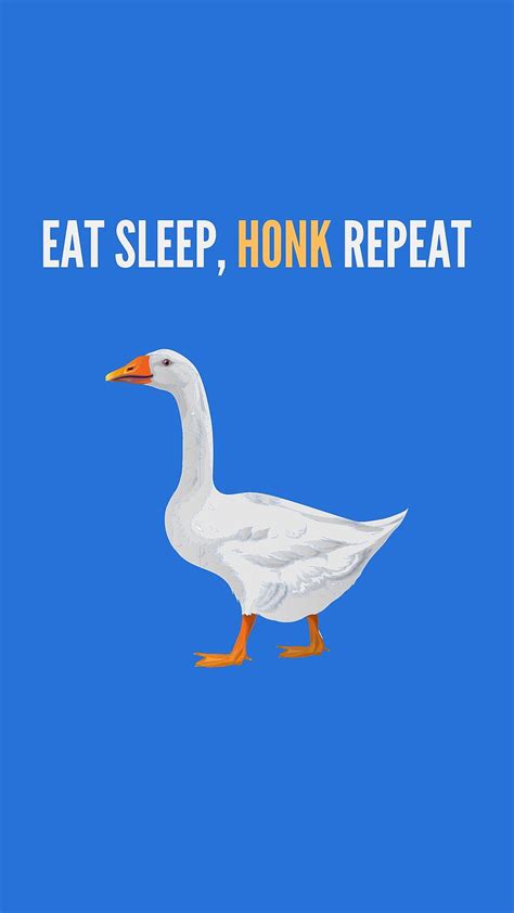1179x2556px 1080p Free Download Eat Sleep Honk Duck Honk Memes
