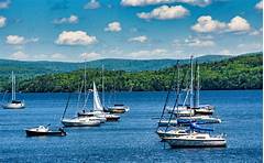 Colchester Vt Food Shelf A Beacon Of Hope Amidst Economic Uncertainty