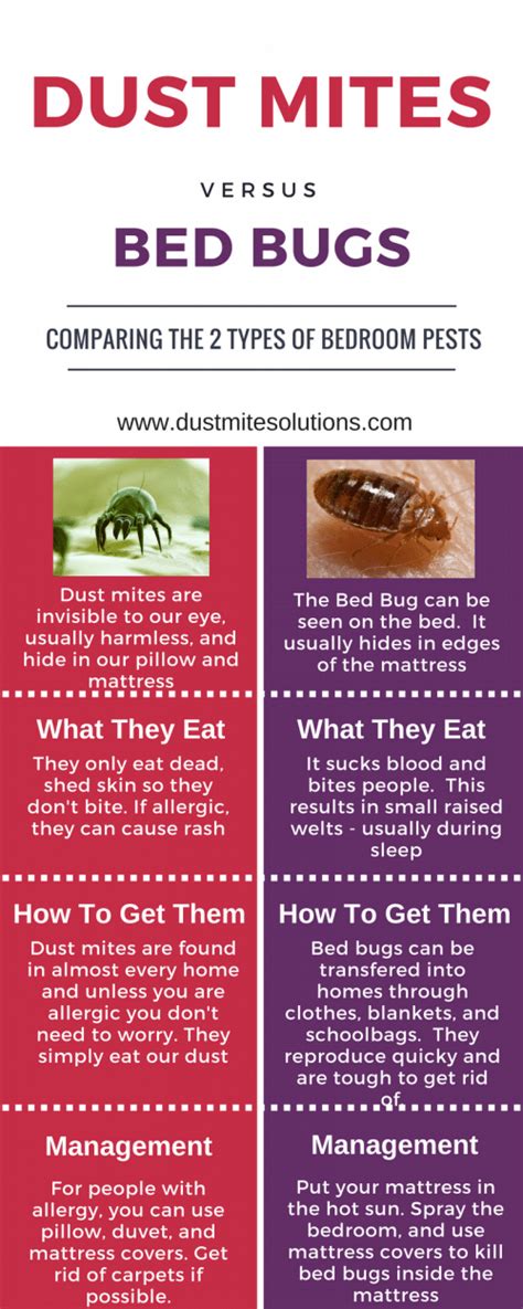 Think You Have Dust Mite Bitesthink Again