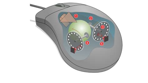 Computer Mice Igcse Computer Science Learnlearnuk