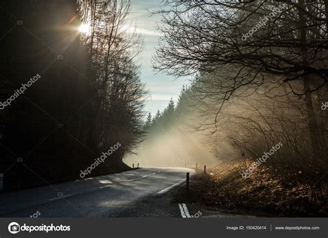 Dark Country Road In Forest And Sun Stock Photo By ©2wproduct 150420414