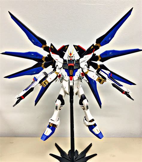Mg Strike Freedom Gundam Rgunpla
