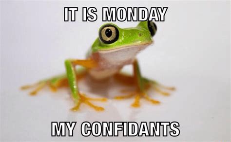 Wednesday Frog Meme It Is Monday My Confidants Comics And Memes