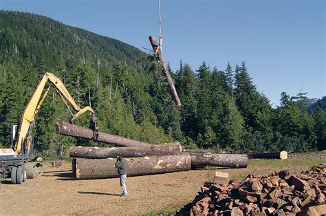 Alaska Timber Industry Needs Increased Tongass Harvest Alaska