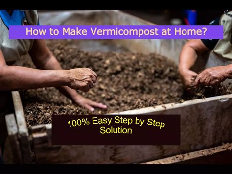 100 Solution How To Make Vermicompost At Home Step By Step