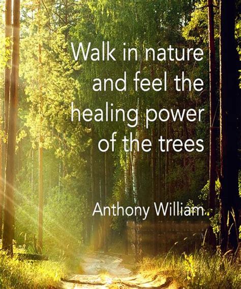 Healing Power Of Nature Quotes The Quotes