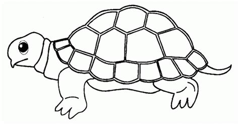 Check spelling or type a new query. 60+ SKETSA HEWAN SEDERHANA YANG MUDAH DI GAMBAR ...