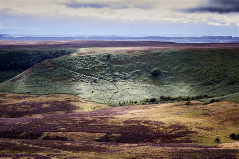 Photo Gallery Heather On The North Yorkshire Moors