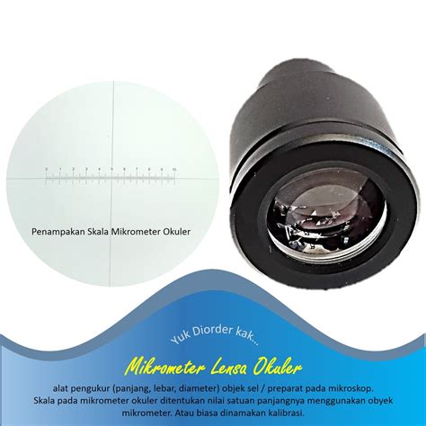 Jual Lensa Mikrometer Okuler Mikroskop Kalibrasi Bukan Objektif Murah