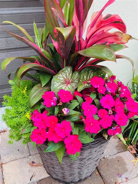 Potted Plants Outdoor Flower Pots Outdoor Flower Planters Flower