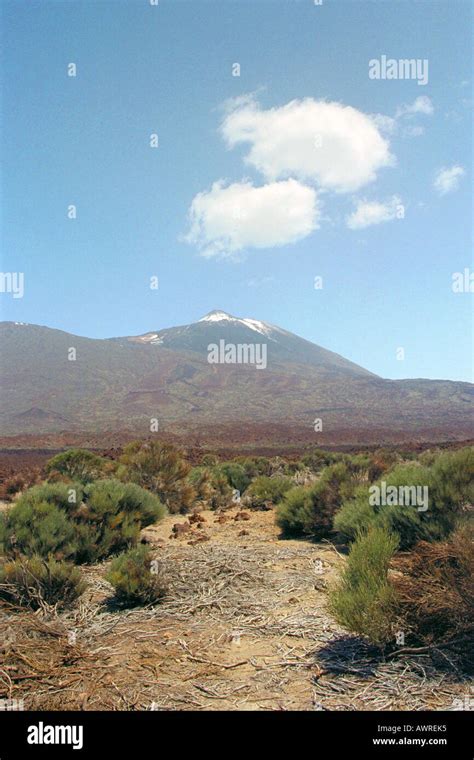 A View Of The Volcanic Mountain Mt Teide Tenerife National Park