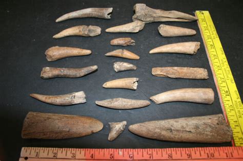 19 Artifact Antler And Bone Tools Prominent Northwest Collector Ebay