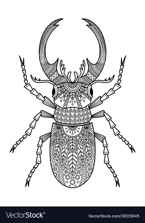 stag beetle anti tress doodle coloring book page vector image