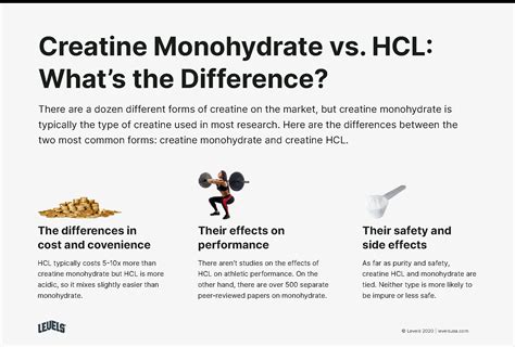 Creatine Hcl Vs Monohydrate Cutting Through The Hype Levels