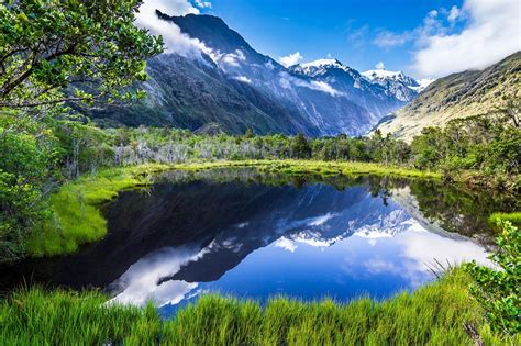 Nature Landscape Summer Lake Reflection Mountain Grass Forest
