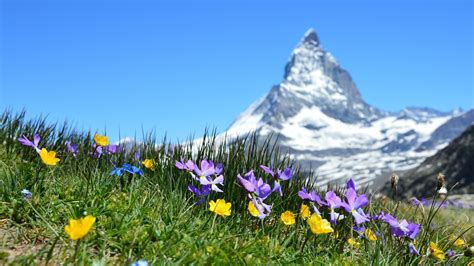 4558971 Mountains Switzerland Matterhorn Rare Gallery Hd Wallpapers