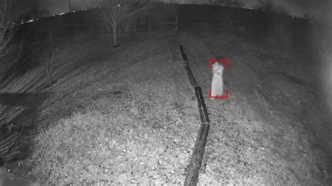 Do you believe in ghosts? Texas home security cam captures eerie photos over holiday ...