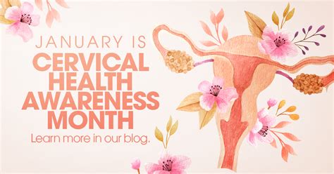 Cervical Health Awareness Month Get To Know Your Cervix Seattle