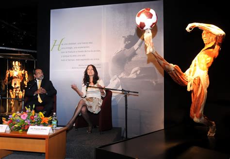 Estrena Universum La Exposición Temporal Body Worlds Vital