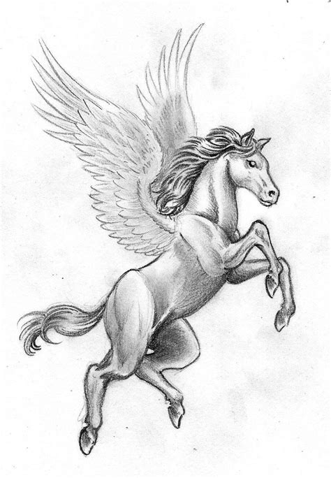 Winged Horse Horse Drawings Animal Sketches Pegasus Drawing