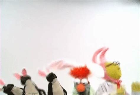 Dance Muppets  Find And Share On Giphy