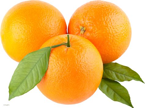 Free Oranges Png Download Free Oranges Png Png Images Free Cliparts
